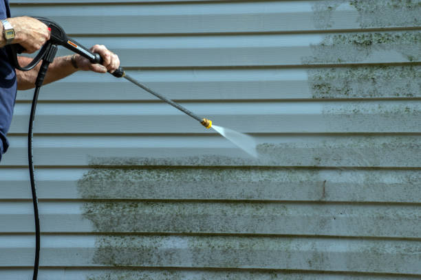 Best Solar Panel Cleaning  in Humboldt, TN